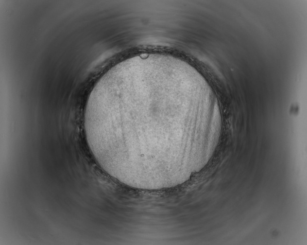 X0000100310870200807031144