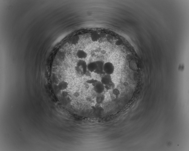 X0000100310871200807031144