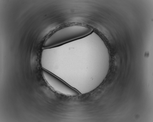 X0000100310872200807031144