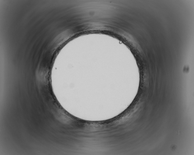 X0000100310873200807031144