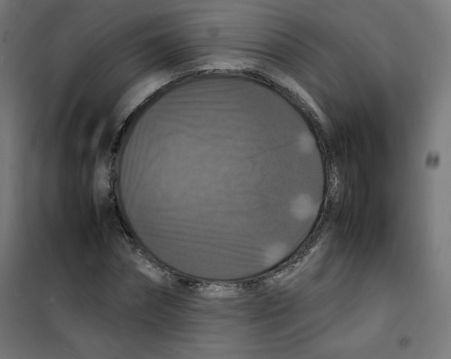 X0000100310874200807031144