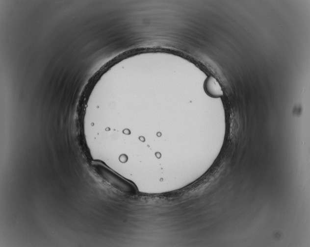 X0000100310876200807031144