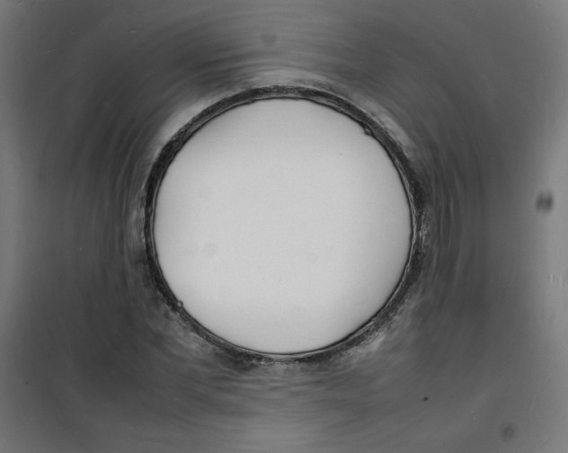 X0000100310877200807031144
