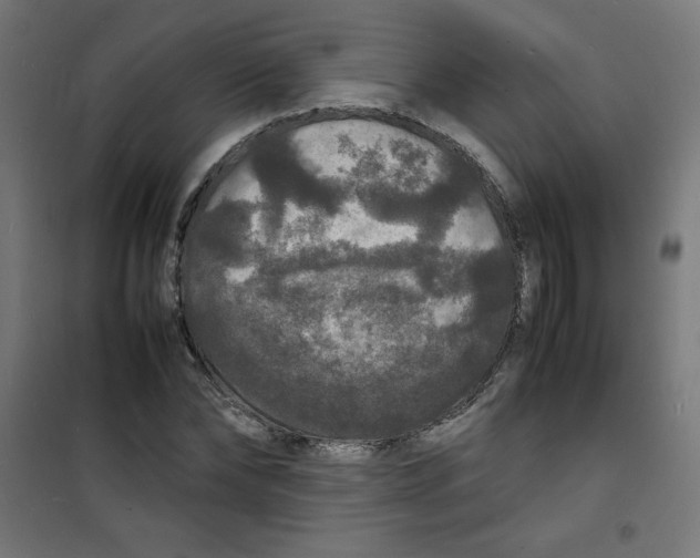 X0000100310878200807031144