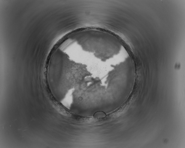 X0000100310879200807031144