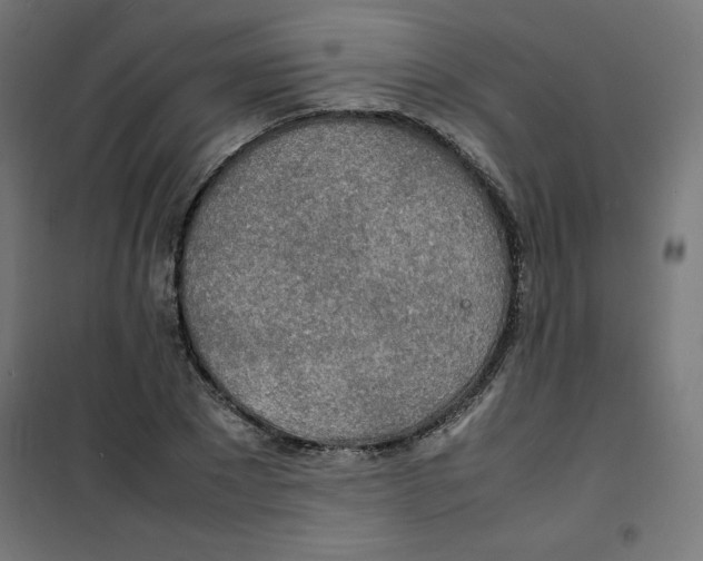 X0000100310881200807031144