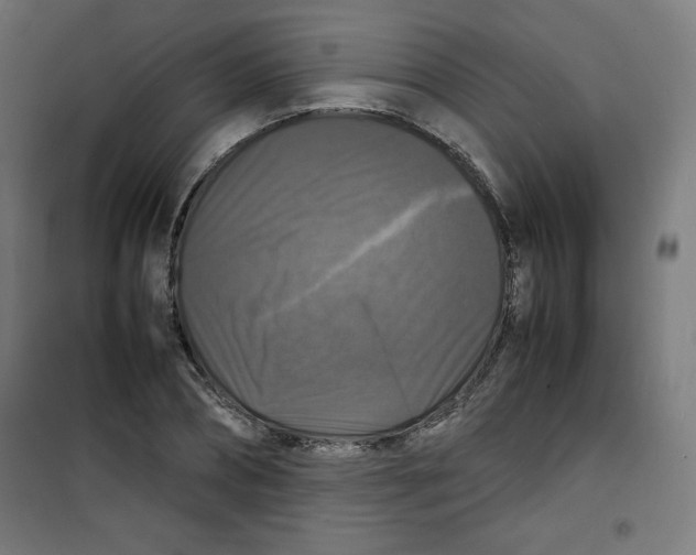 X0000100310882200807031144
