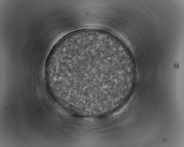 X0000100310883200807031144