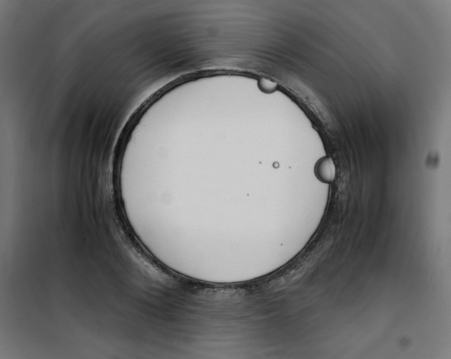 X0000100310884200807031144