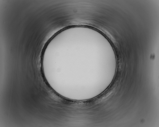 X0000100310885200807031144