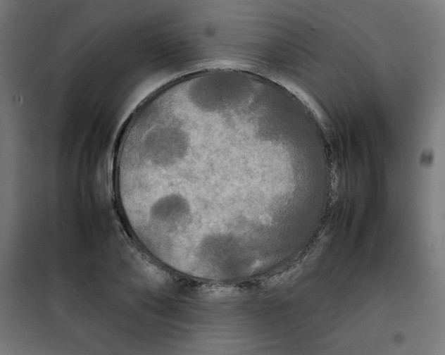 X0000100310886200807031144