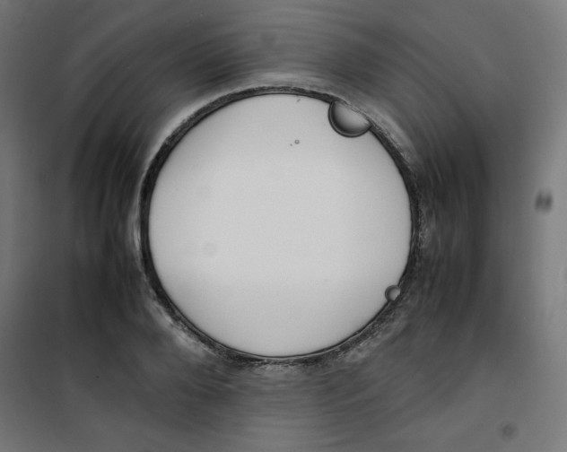 X0000100310888200807031144