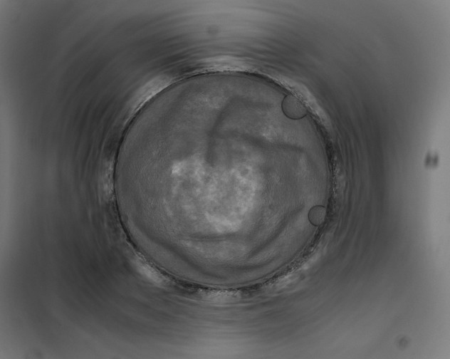 X0000100310889200807031144