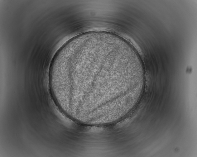 X0000100310890200807031144