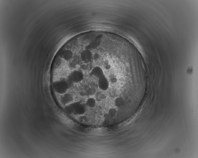 X0000100310891200807031144
