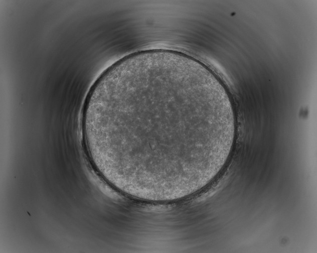 X0000100310892200807031144