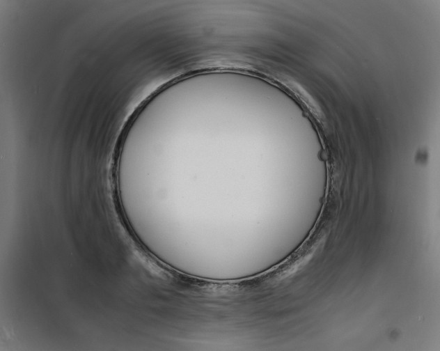X0000100310893200807031144