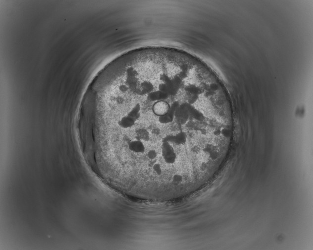X0000100310895200807031144