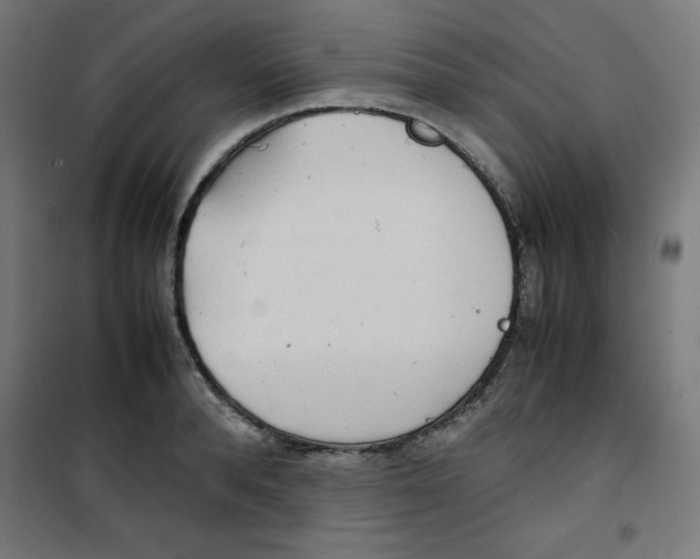 X0000100310896200807031144