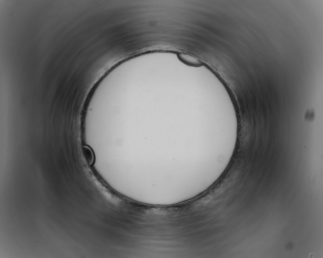 X0000100310898200807031143
