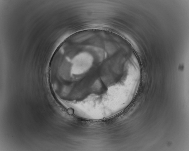 X0000100310899200807031143