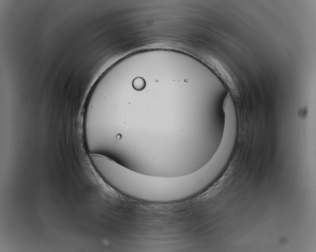 X0000100310900200807031143