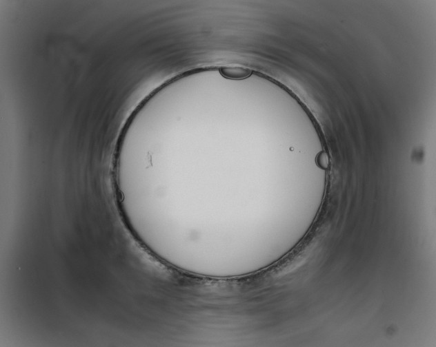 X0000100310901200807031143