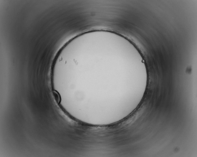 X0000100310902200807031143