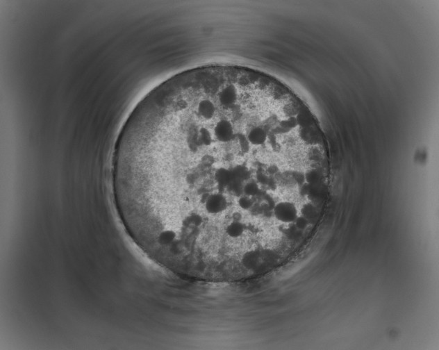 X0000100310903200807031143
