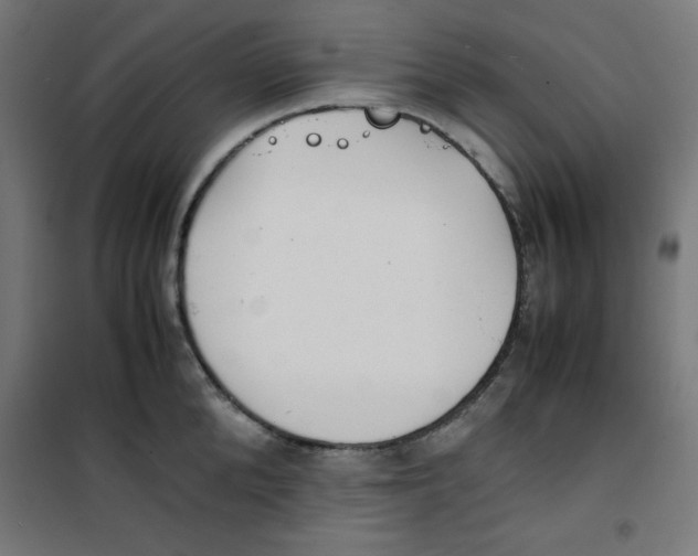 X0000100310904200807031143