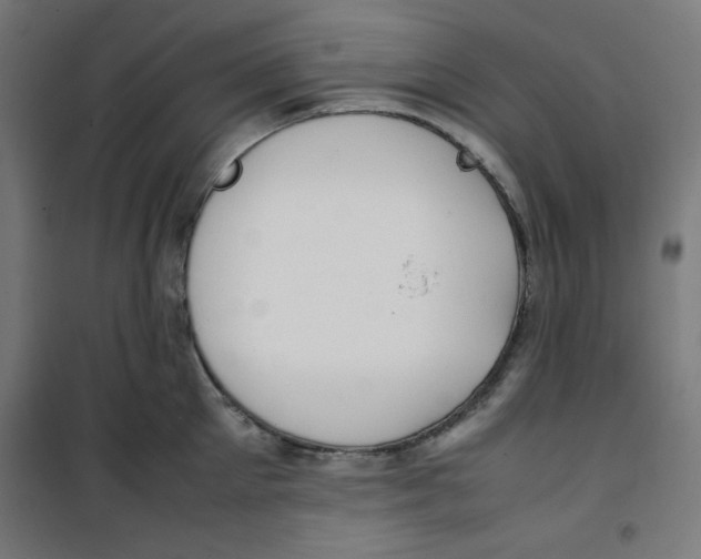 X0000100310905200807031143