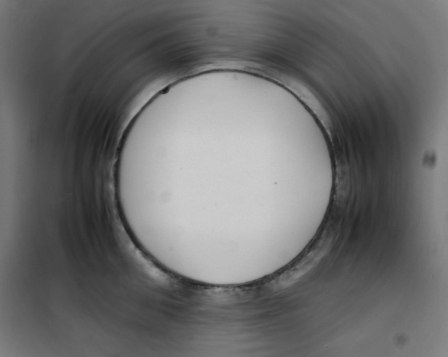 X0000100310906200807031143