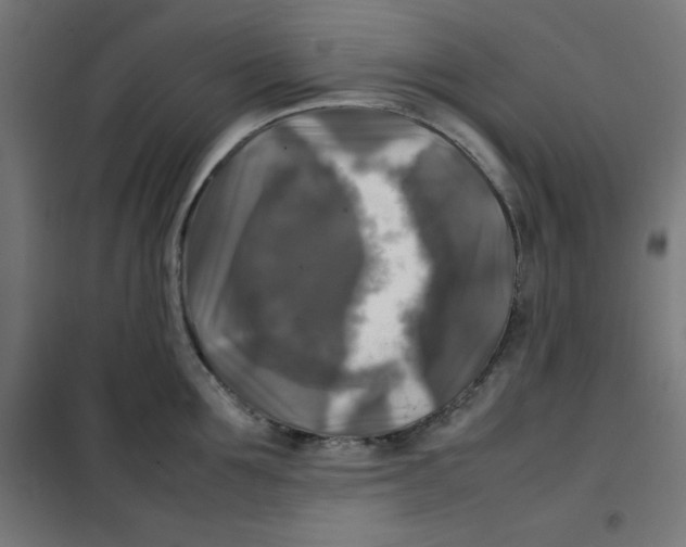 X0000100310907200807031143
