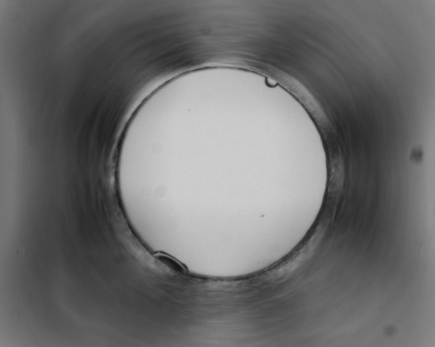 X0000100310908200807031143