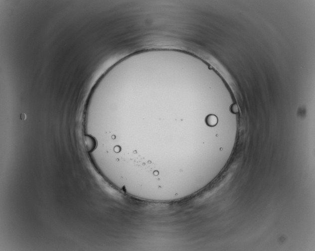X0000100310909200807031143