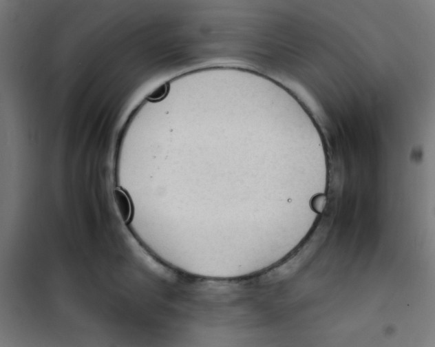 X0000100310910200807031143