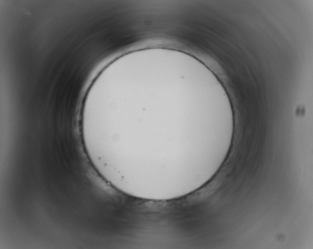 X0000100310912200807031143