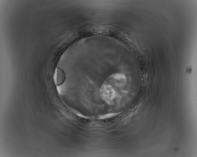 X0000100310913200807031142