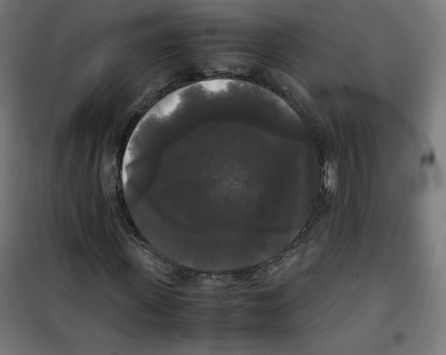 X0000100310915200807031142