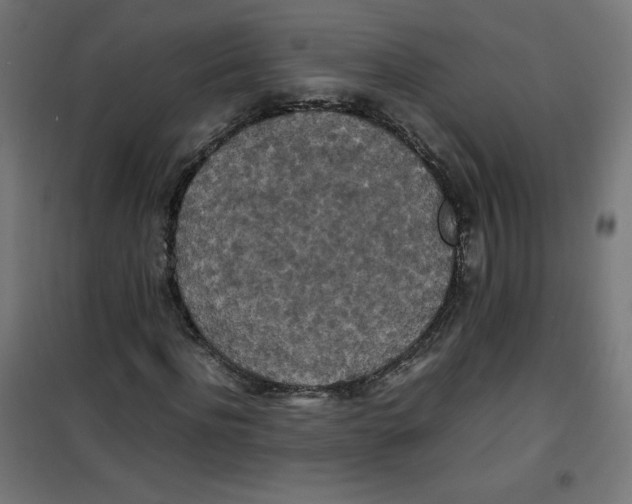 X0000100310916200807031142