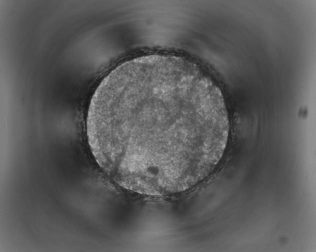 X0000100310918200807031143