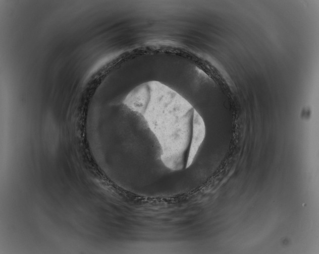 X0000100310919200807031143