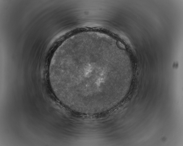 X0000100310920200807031143