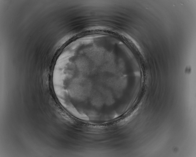 X0000100310921200807031143