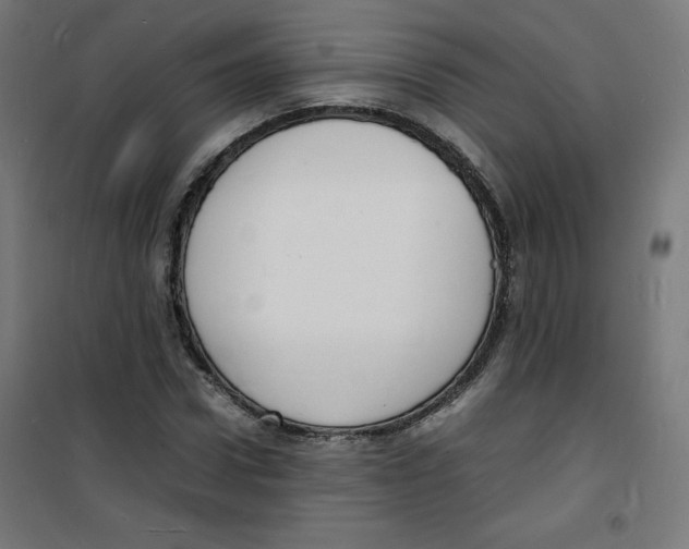 X0000100310922200807031143