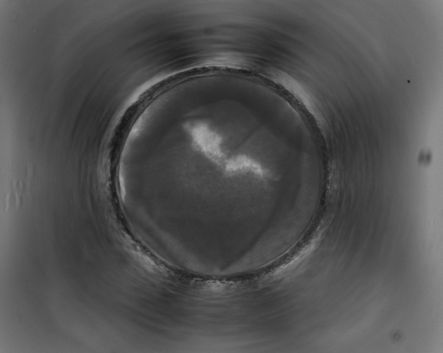 X0000100310923200807031143