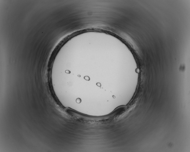X0000100310924200807031143