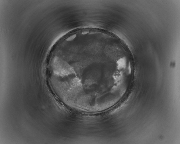 X0000100310925200807031143
