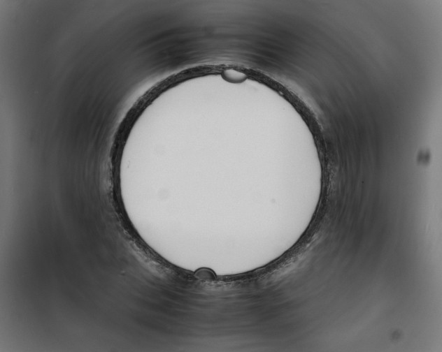 X0000100310927200807031143