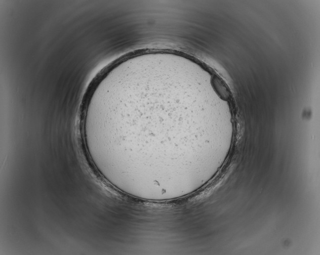X0000100310928200807031143